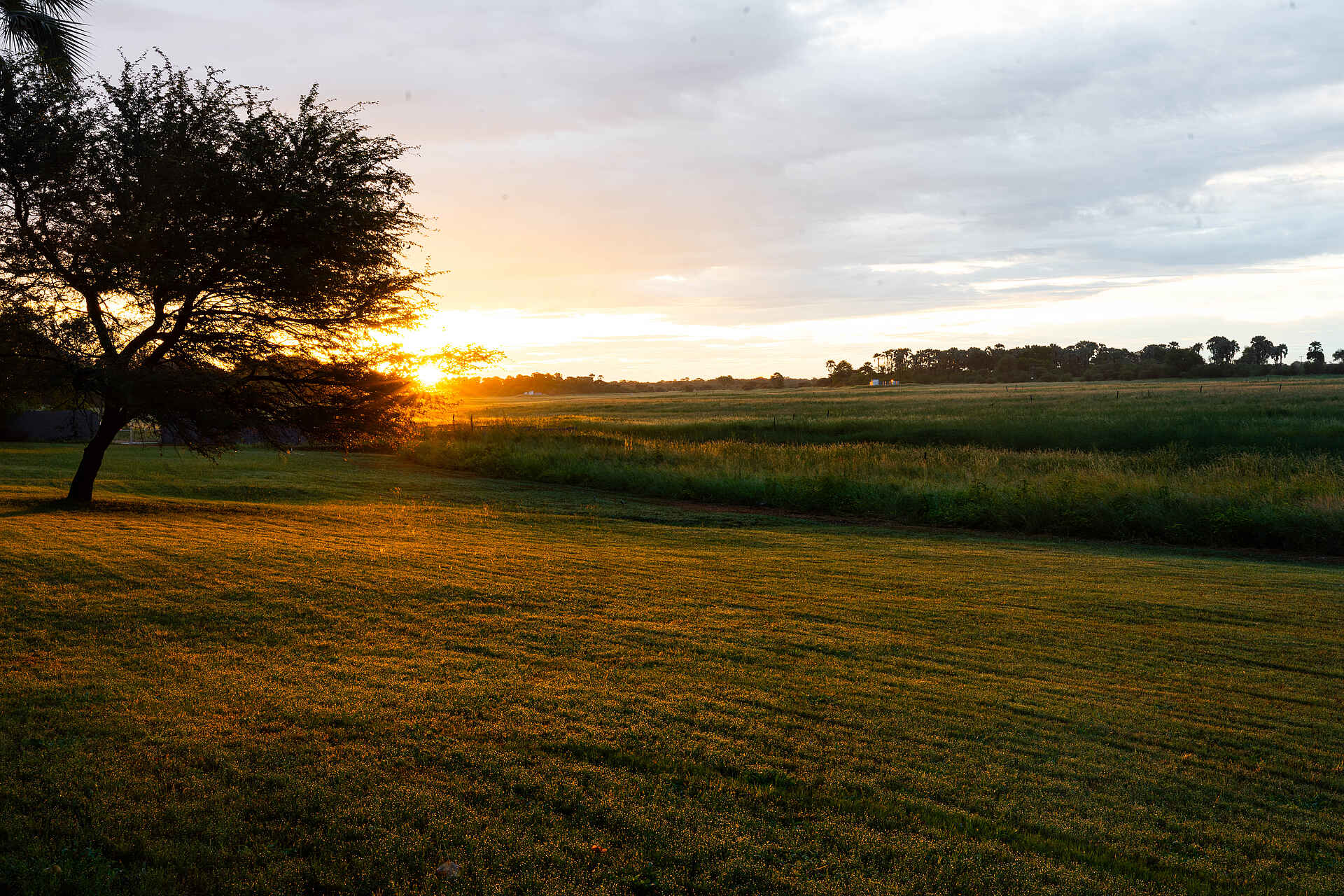 Thamalakane River Lodge: Blick in die Umgebung Thamalakane River Lodge: Blick in die Umgebung