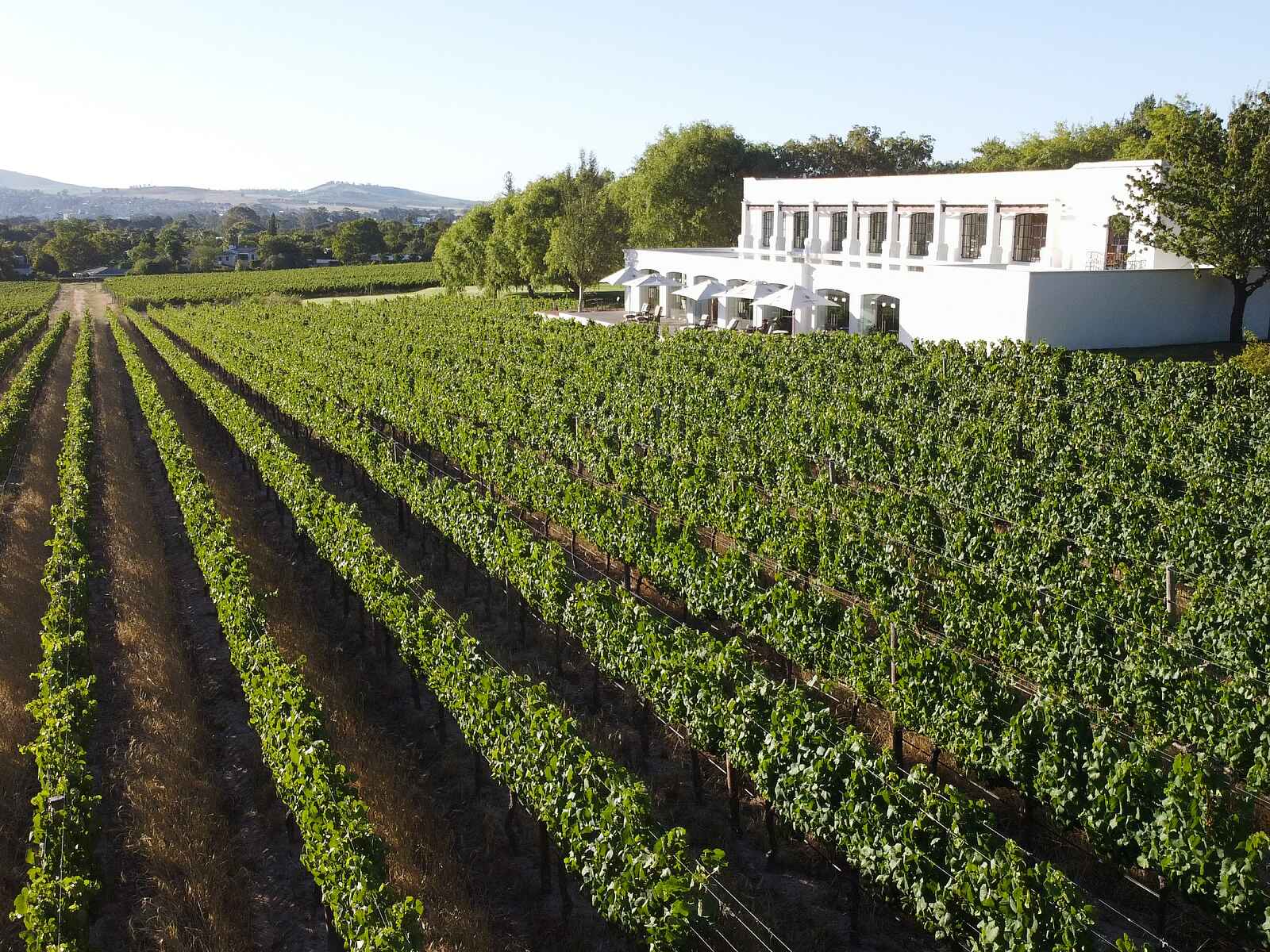 The Lanzerac Hotel & Spa: Lage inmitten der Weinberge The Lanzerac Hotel & Spa: Lage inmitten der Weinberge