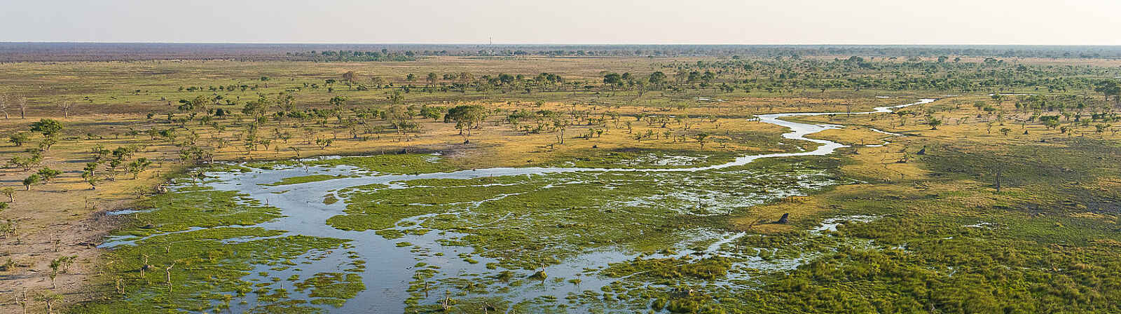 Wilderness Mokete Camp: Luftaufnahme des Okavangodeltas Wilderness Mokete Camp: Luftaufnahme des Okavangodeltas