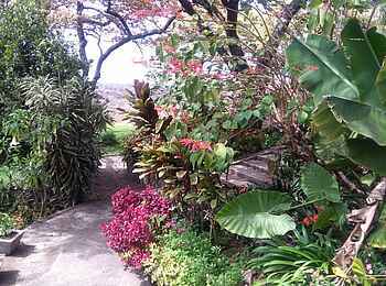 Clever's Lake View Resort: Weg durch den Garten Clever's Lake View Resort: Weg durch den Garten