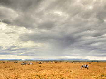 Naboisho Camp: Gewitterhimmel