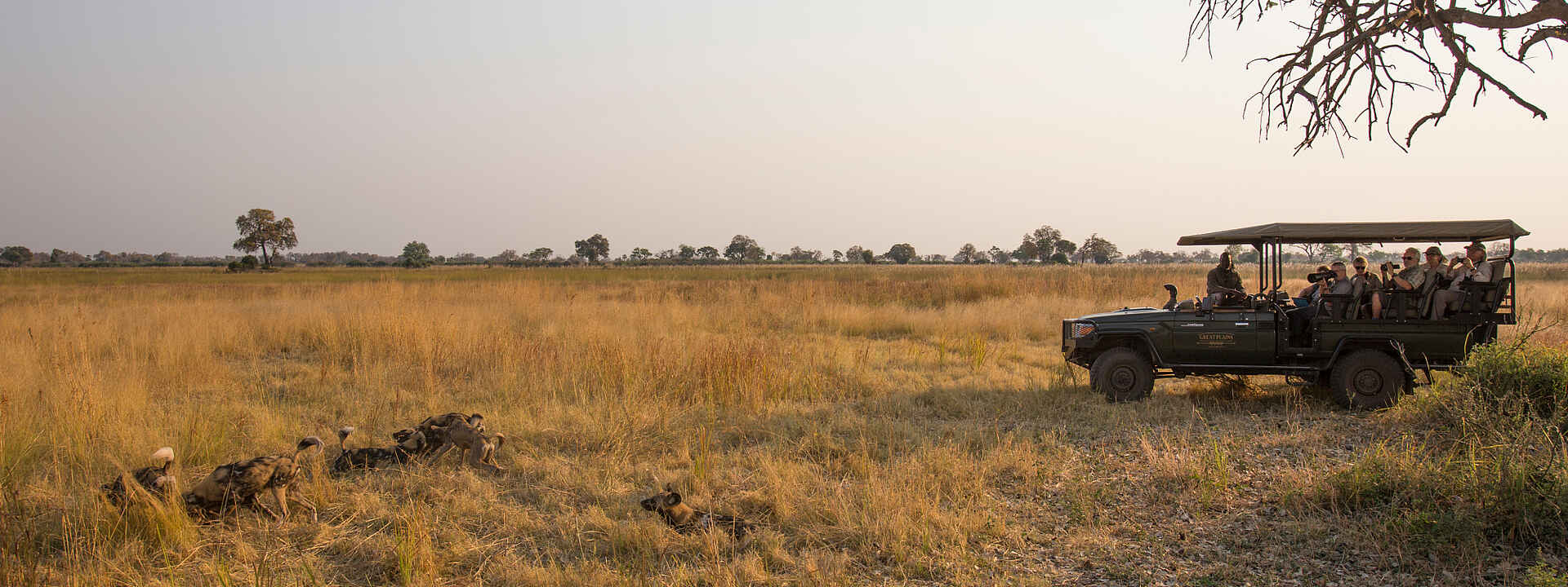 Duba Explorers Camp: Auf Pirschfahrt Duba Explorers Camp: Auf Pirschfahrt