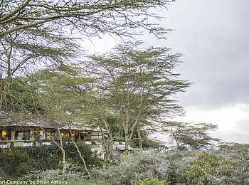 Hatari Lodge: Blick auf das Haupthaus