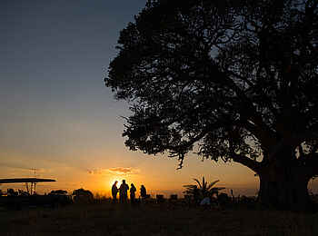 Mukambi Busanga Plains Camp: Sundowner im Busch Mukambi Busanga Plains Camp: Sundowner im Busch