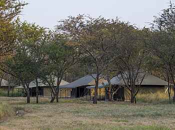 Naona Moru Camp: Gästezelte in Landschaft