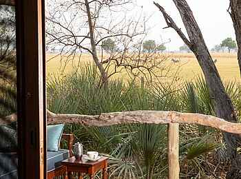 Shinde Lodge: Blick von der Veranda Shinde Lodge: Blick von der Veranda