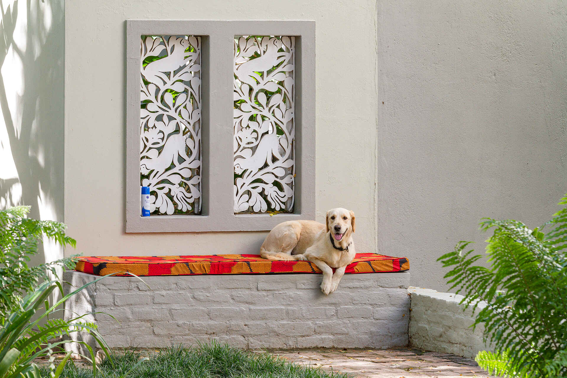 528 Victoria Falls Guesthouse: Lilah - Der Hund des Hauses 528 Victoria Falls Guesthouse: Lilah - Der Hund des Hauses