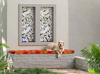 528 Victoria Falls Guesthouse: Lilah - Der Hund des Hauses