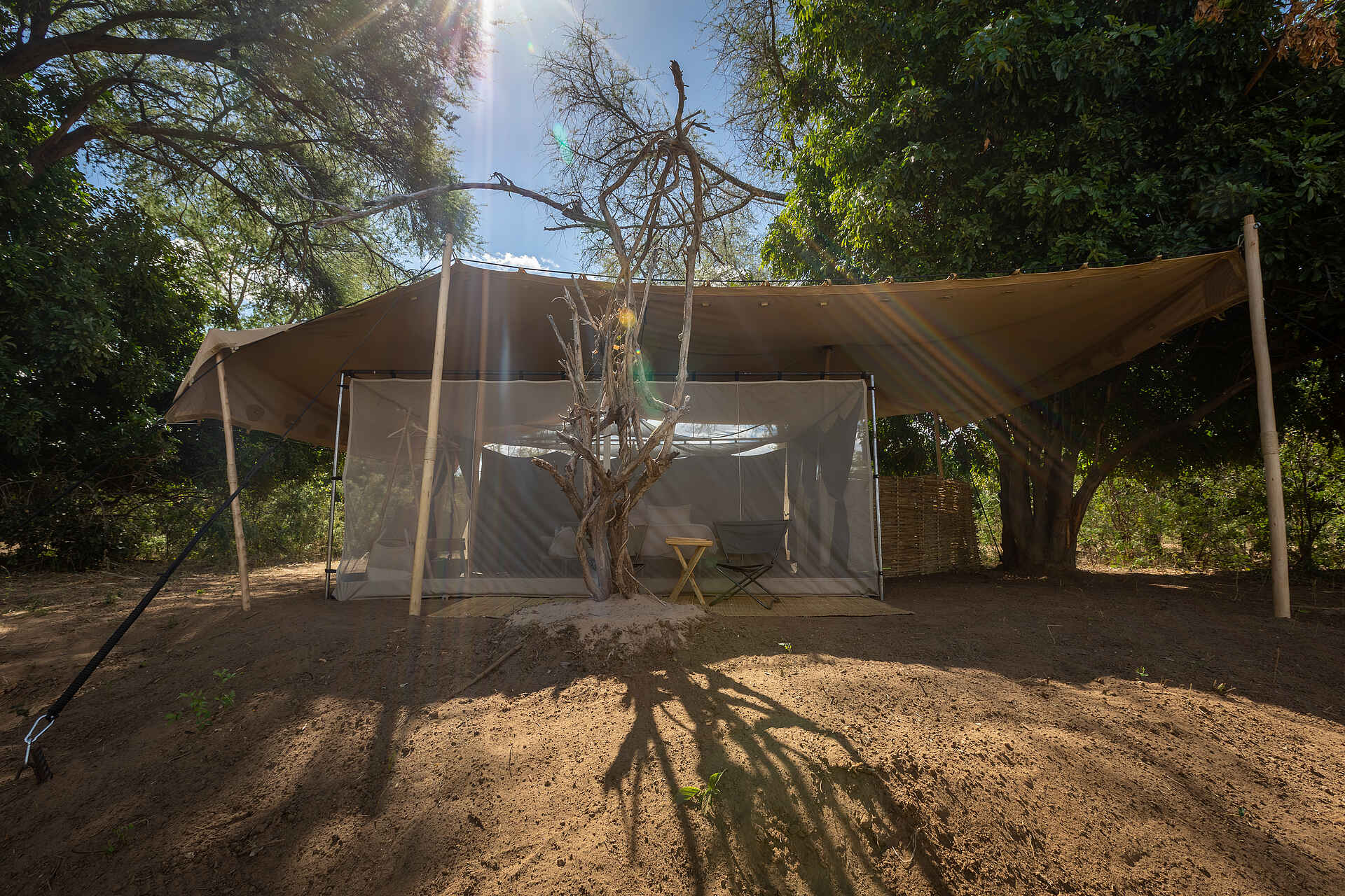 Chula Island Flycamp, Lower Zambezi National Park, Tusk & Mane, Gästezelt, Kyle Branch, Luke Evans, Morgensonne