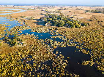 Selinda Camp: Wildnis