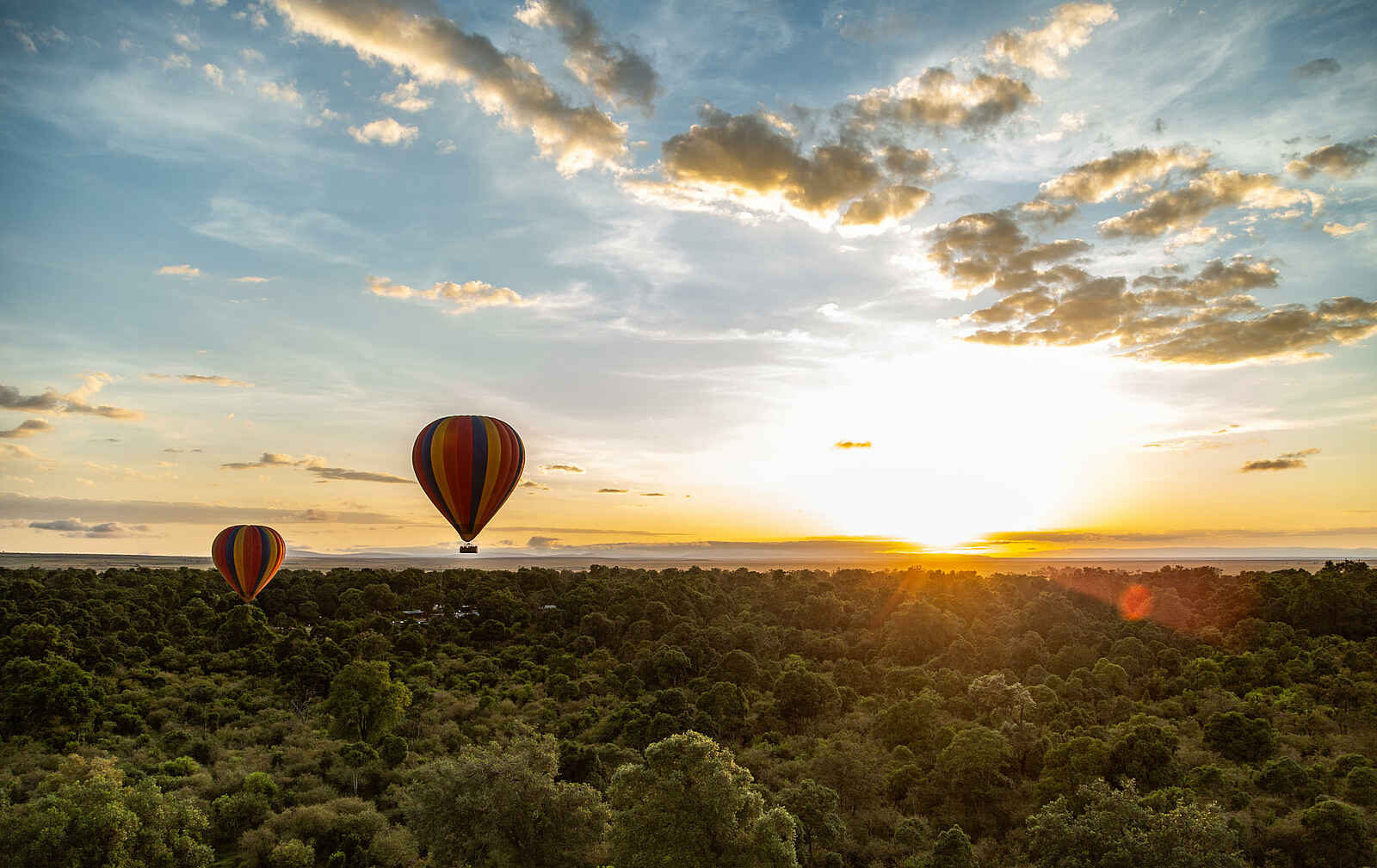 Angama Mara: Heißluftballonfahrt Angama Mara: Heißluftballonfahrt
