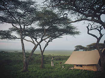 Charlie Sanjan Safari Camp: Ausblick vom Zelt