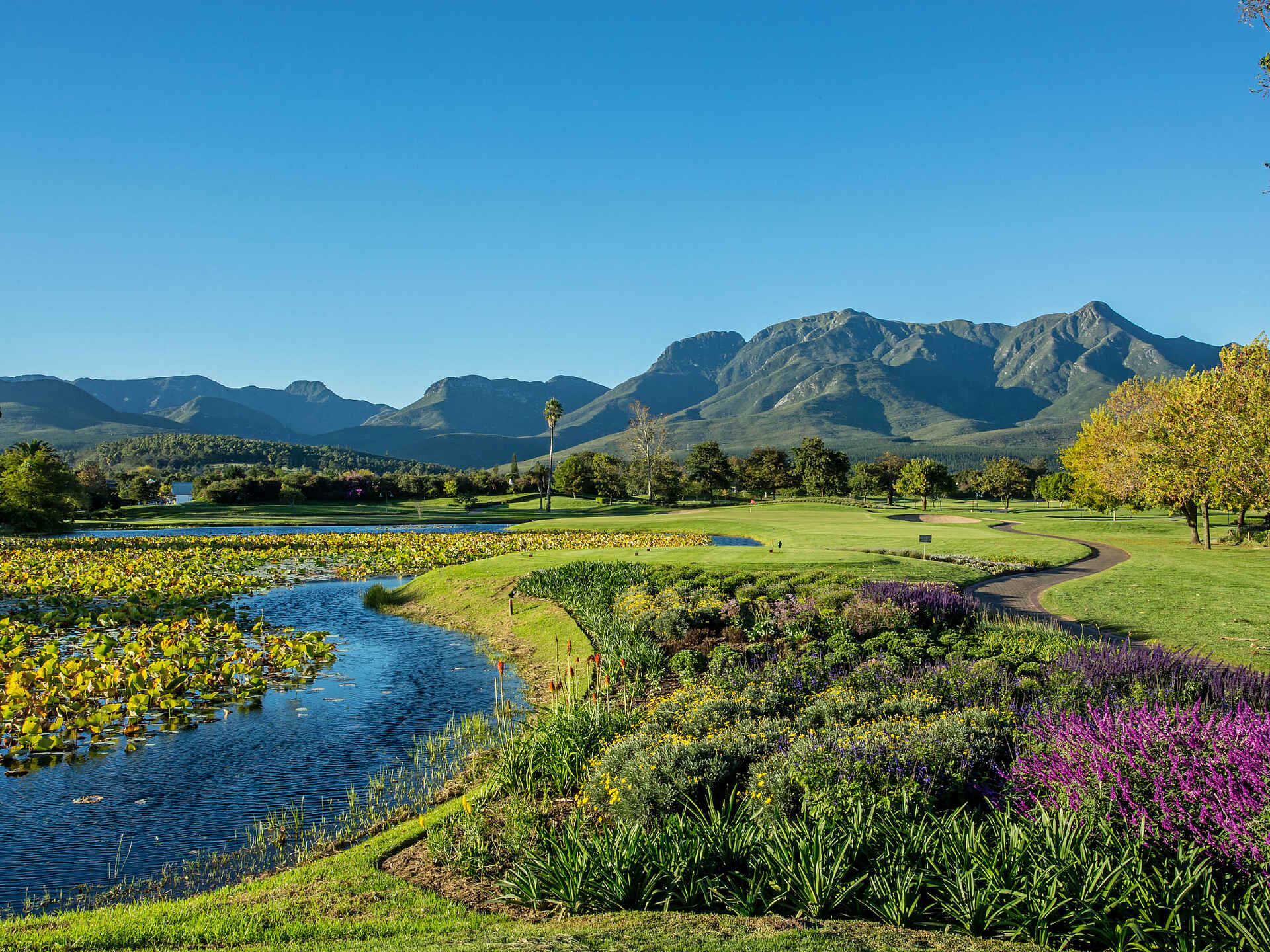 Fancourt Outeniqua Golfplatz: üppiges Grün