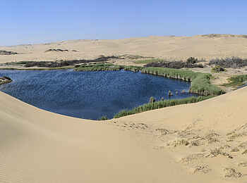 Hoanib Skeleton Coast Camp: Oase mitten in der Wüste Hoanib Skeleton Coast Camp: Oase mitten in der Wüste
