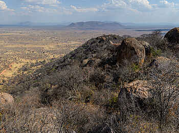 Jabali Ridge Camp: Das weite Buschland des Ruaha Nationalparks. Jabali Ridge Camp: Das weite Buschland des Ruaha Nationalparks.