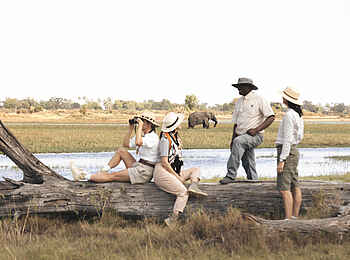 Mombo Camp: Busch Picknick