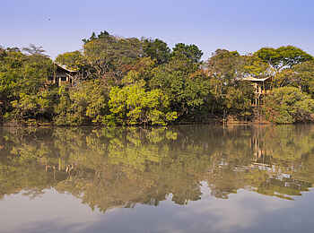 Mukambi Fig Tree Bush Camp: Zwei Gästezelte am Ufer