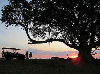 Mukambi Safari Lodge: Sundowner auf der Pirschfahrt Mukambi Safari Lodge: Sundowner auf der Pirschfahrt