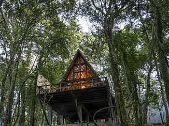Munazi Lodge: Cottage von außen