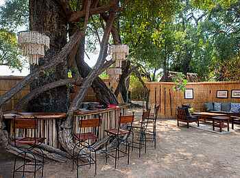 Mwamba Bush Camp: Bar im Grünen Mwamba Bush Camp: Bar im Grünen