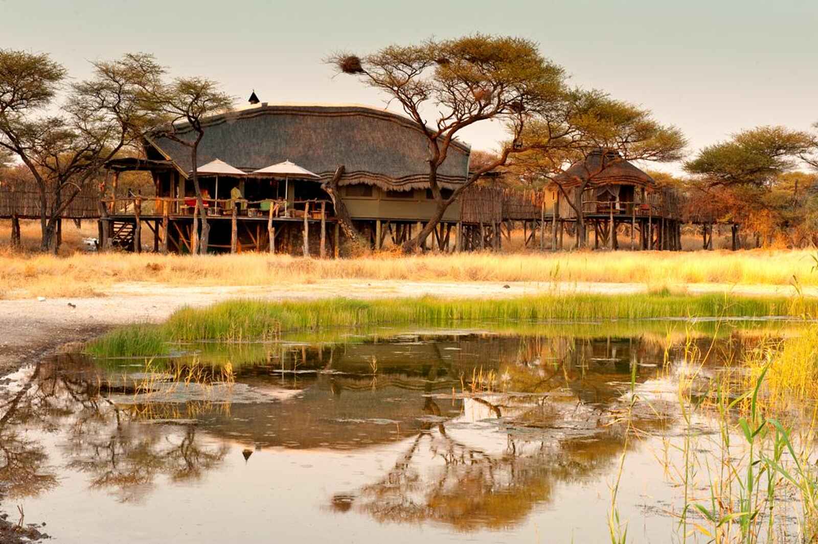 Onguma Tree Top Camp: Hauptgebäude Onguma Tree Top Camp: Hauptgebäude