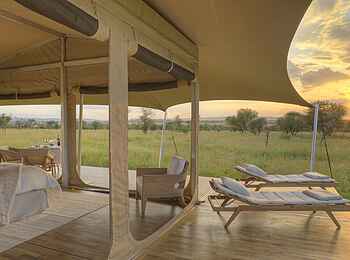 Roving Bushtops Camp: Ausblick vom Zelt