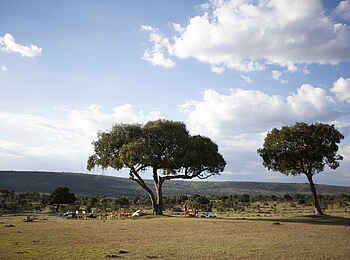 Serian Camp: Vorbereitungen auf das Bush Lunch