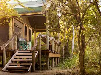 Thamo Telele Camp: Treppe zur Gästeveranda Thamo Telele Camp: Treppe zur Gästeveranda