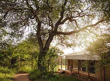 Kusini Serengeti Camp: Seitenansicht Gästezelt