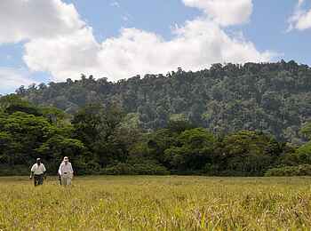 Hatari Lodge: Wanderung im Ngurdoto-Krater