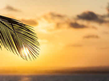 Ibo Island Lodge: Sonnenuntergang über Palmen