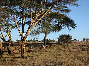 Kifaru House: Eine Reitsafari Kifaru House: Eine Reitsafari
