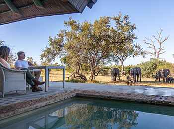 Leopard Hills: Besuch am Pool