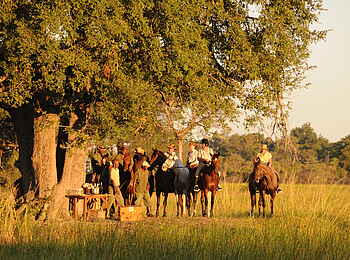 Macatoo Camp: Sundowner unterm Baum