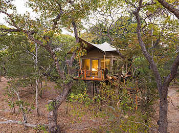 Mukambi Fig Tree Bush Camp: Die Zelte haben ein warmes Licht im Inneren
