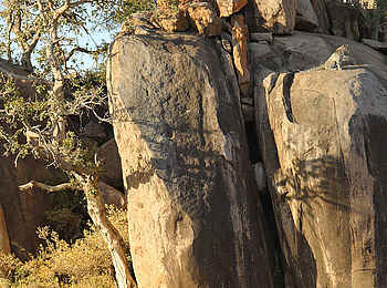 The Retreats at Namiri Plains Camp: Leopard auf dem Felsen The Retreats at Namiri Plains Camp: Leopard auf dem Felsen