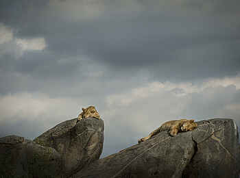 The Retreats at Namiri Plains Camp: Rast und Aussicht The Retreats at Namiri Plains Camp: Rast und Aussicht