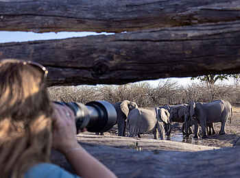 Savuti Camp: Blick aus dem Hide