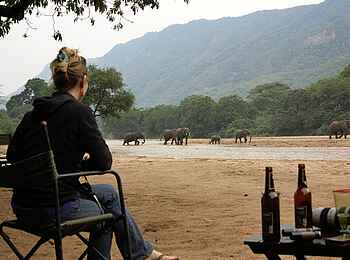 Wayo Manyara Green Camp: Elefantenbeobachtung aus entspannter Warte