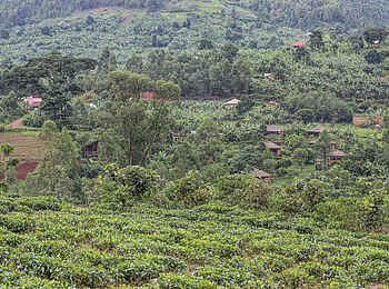 Mahogany Springs Safari Lodge: Blick auf die Lodge von der anderen Talseite