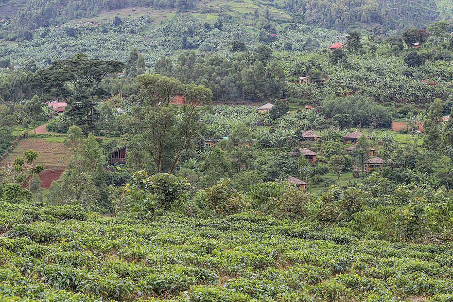 Mahogany Springs Safari Lodge: Blick auf die Lodge von der anderen Talseite Mahogany Springs Safari Lodge: Blick auf die Lodge von der anderen Talseite