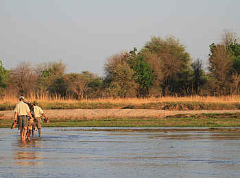 Takwela Camp: Überquerung des Mwaleshi River Takwela Camp: Überquerung des Mwaleshi River