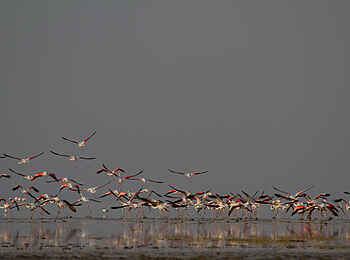 Chem Chem Lodge: Alles klar zum Abflug Chem Chem Lodge: Alles klar zum Abflug