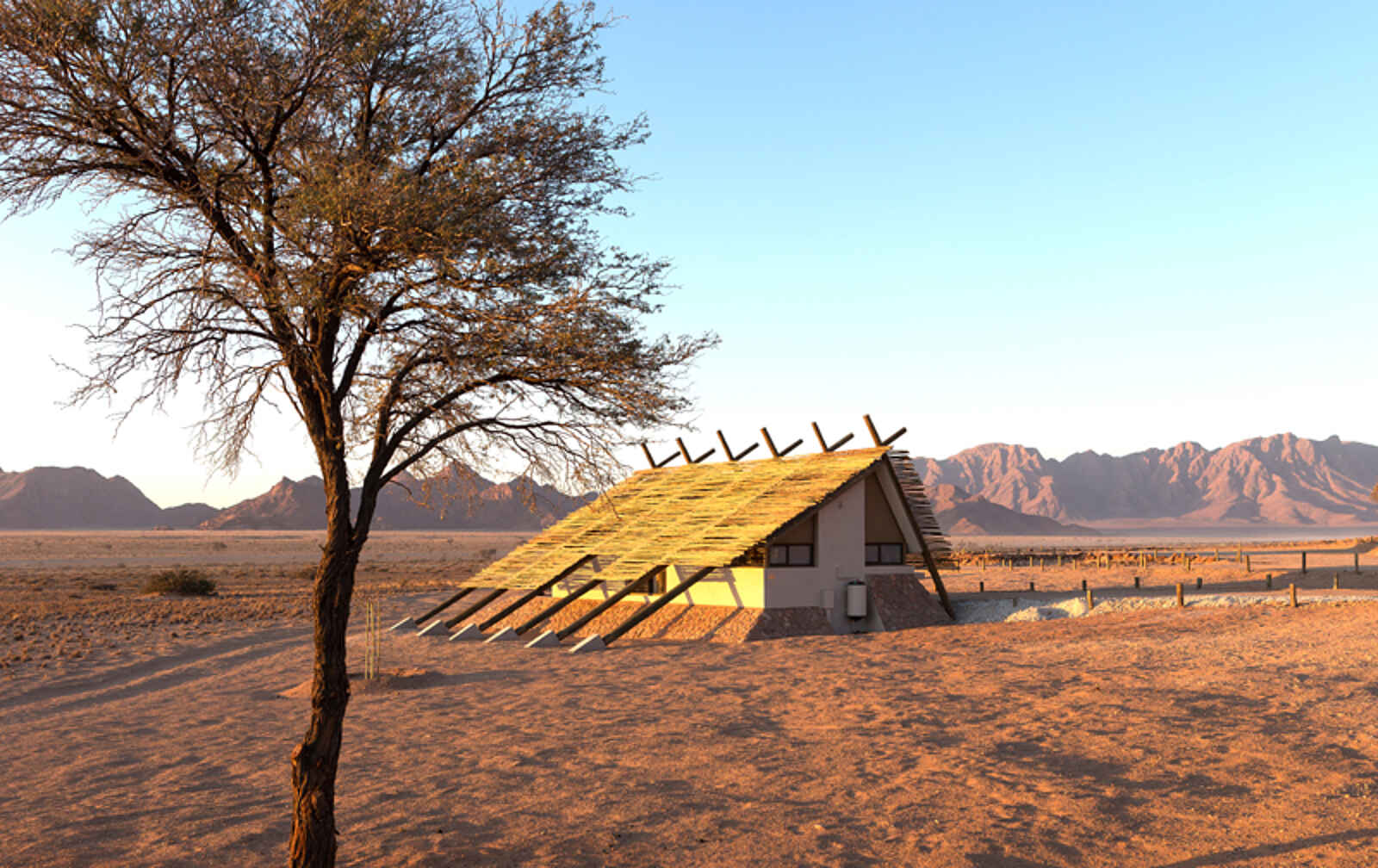 Desert Quiver Camp: Blick auf Gebirgsketten Desert Quiver Camp: Blick auf Gebirgsketten