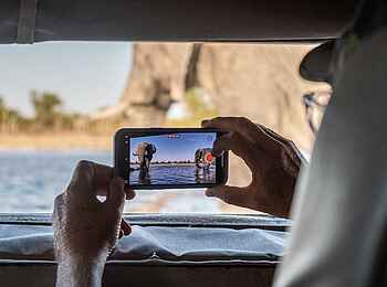 Elephant Pan Camp: Bild im Bild Elephant Pan Camp: Bild im Bild