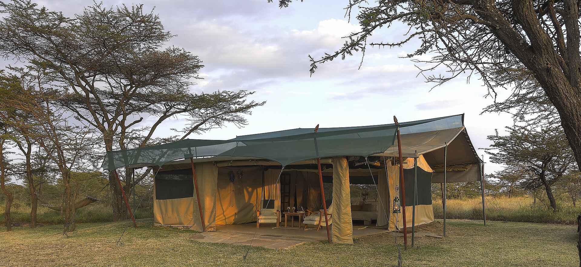 Fly Camping, Gold eco-rated, Kenia, Kicheche Bush Camp, Kicheche Camps, Masai Mara, Motorgie Prärie, Nachhaltig, Olare Motorgie Conservancy, Akazien, Gästezelt, Private Terrasse, Afrikarma, Afrikarma Safaris, Afrikarma Safaris – Wildnis. Hautnah., afrikarma.de