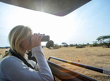 Kirawira Serena Camp: Game Drive