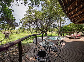 Tintswalo Safari Lodge: Ein Elefant vor einer Explorer Suite