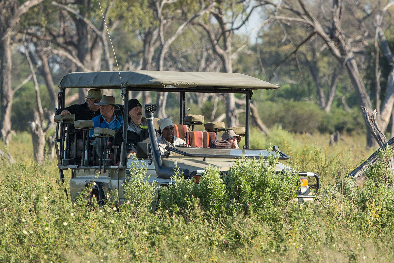 Botswana Camping Highlights: Unterwegs auf Pirschfahrt Botswana Camping Highlights: Unterwegs auf Pirschfahrt