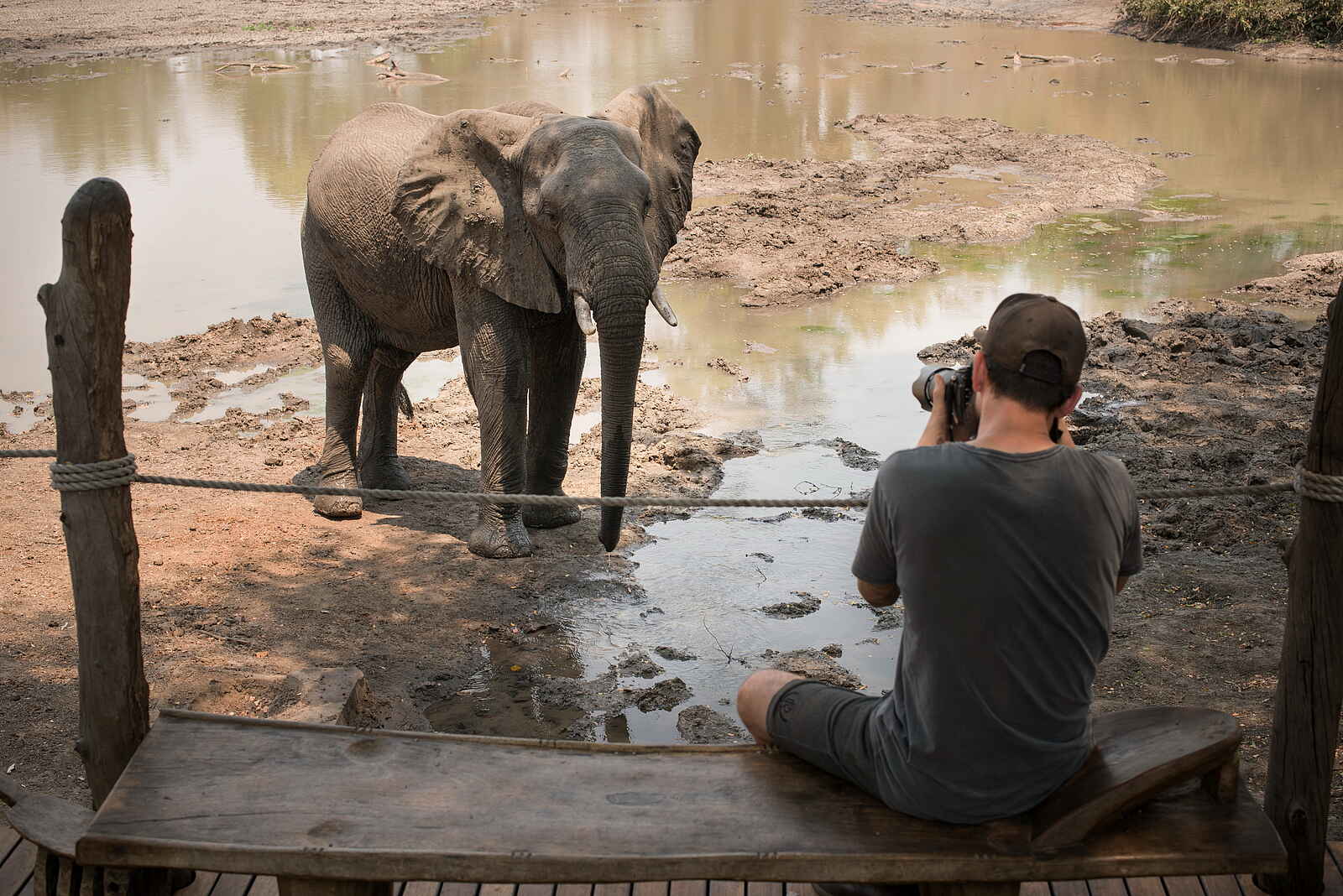 Kanga Expeditions: Elefant vor dem Camp Kanga Expeditions: Elefant vor dem Camp